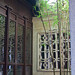 Ting Shen Photo 30
