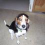 Lori Lester Photo 28