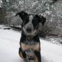Kathy Greer Photo 29