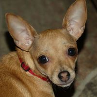 Jeanette Cline Photo 6