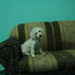 Jazmin Cortes Photo 37