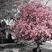 Kimberley Bloom Photo 18