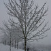 Tommy Baum Photo 35