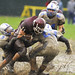 David Muzzy Photo 18