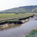 James Pagden Photo 5