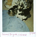 Maggie Edwards Photo 39