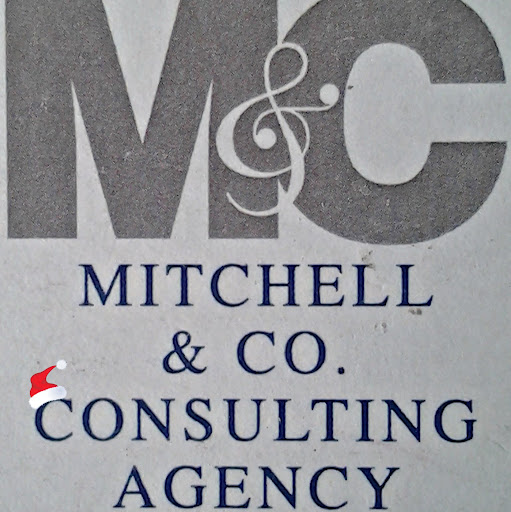Cara Mitchell Photo 13