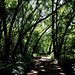 Paul Snelling Photo 28