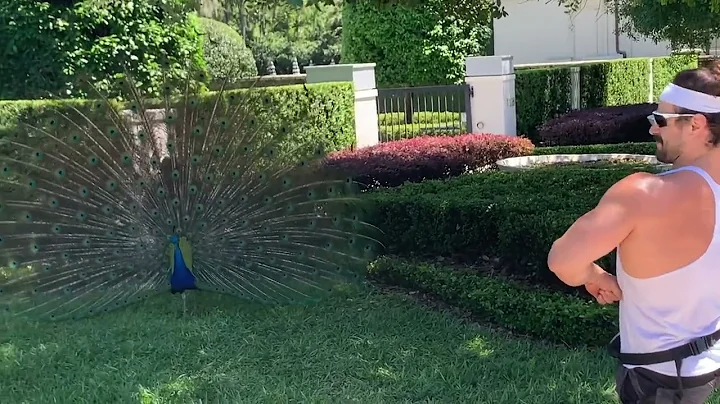 Joel Peacock Photo 18