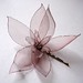 Joy Dore Photo 16