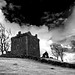 Louise Murray Photo 39