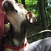 Alvin Hope Photo 19