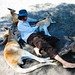 Stephen Roos Photo 29