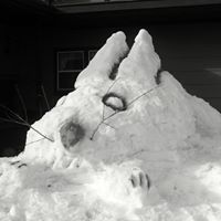 Dale Harris Photo 1