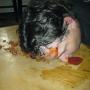 Larry Bourrie Photo 1