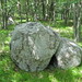 Sharon Hobbs Photo 46