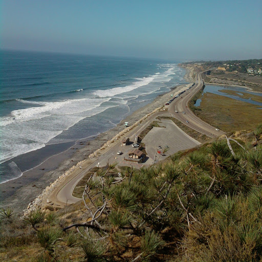 Michael Lowther Photo 11