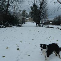 Danny Wing Photo 5
