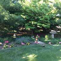Susan Berryman Photo 3