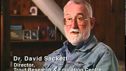David Sackett Photo 33