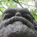 Douglas Marx Photo 31