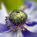 Carol Neil Photo 26