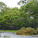 Gale Power Photo 20