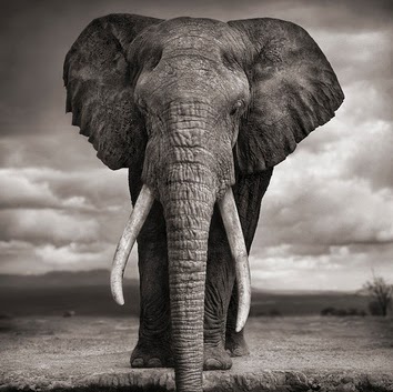Sarah Bott Photo 13