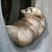 David Cutts Photo 34