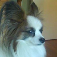Daphne Holmes Photo 8