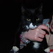 Fran Phillips Photo 40
