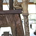 Gina Glaze Photo 21