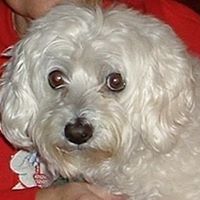 Wanda Hurley Photo 5