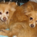 Sherry Stanley Photo 41