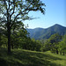Gail Grove Photo 26