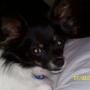 Carole Myers Photo 24