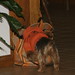 Monte Law Photo 19