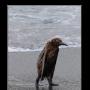 George Culp Photo 18