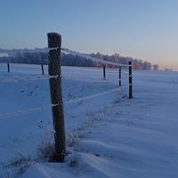 Holly Mize Photo 4