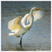 Jose Echevarria Photo 39