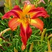 Cathy Bloom Photo 24