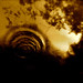 David Siciliano Photo 18