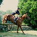 Norma Hamilton Photo 40