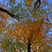 Autumn Bradbury Photo 14