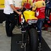 Douglas Paddock Photo 27