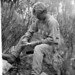 John Whittles Photo 16