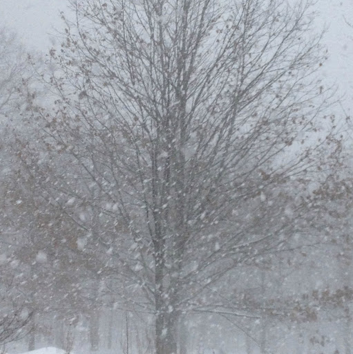 Gary Borden Photo 12