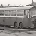 Frank Cowley Photo 20