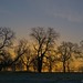 Dawn Lincoln Photo 36