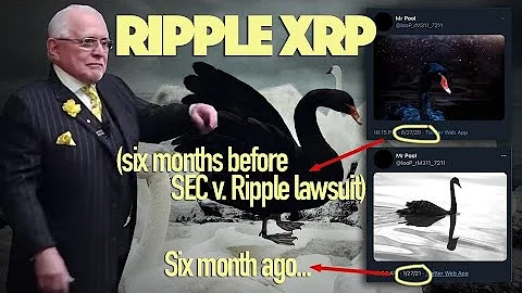 Dan Ripple Photo 13